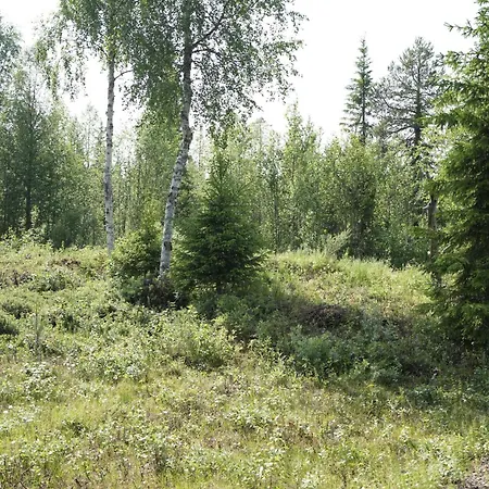 Modern House Ski-in-out