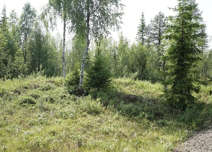 Modern House Ski-in-out