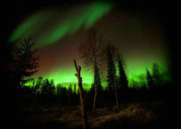 Modern House Ski-in-out